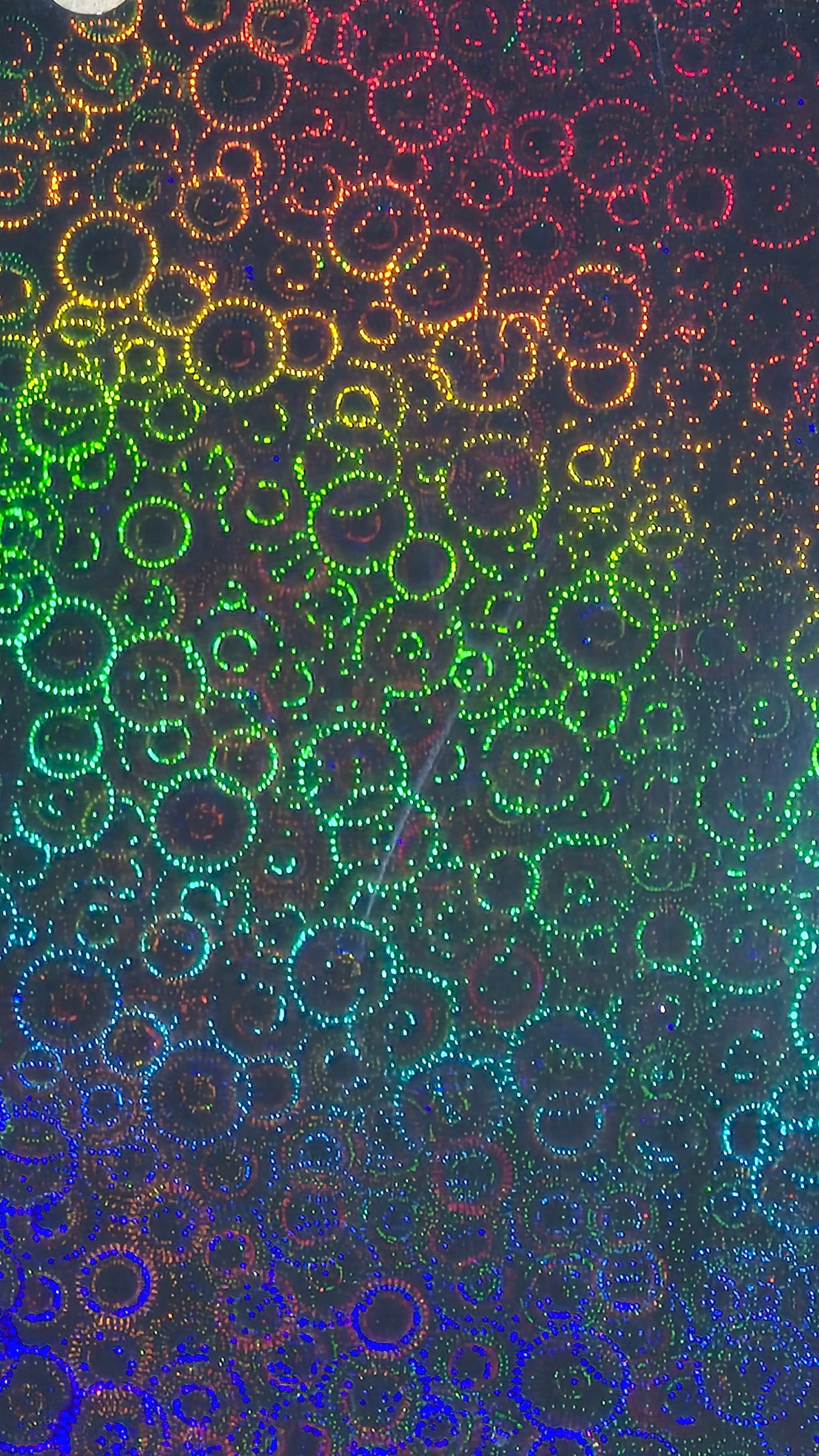 Holographic Magnetic P-FLAT Sheets